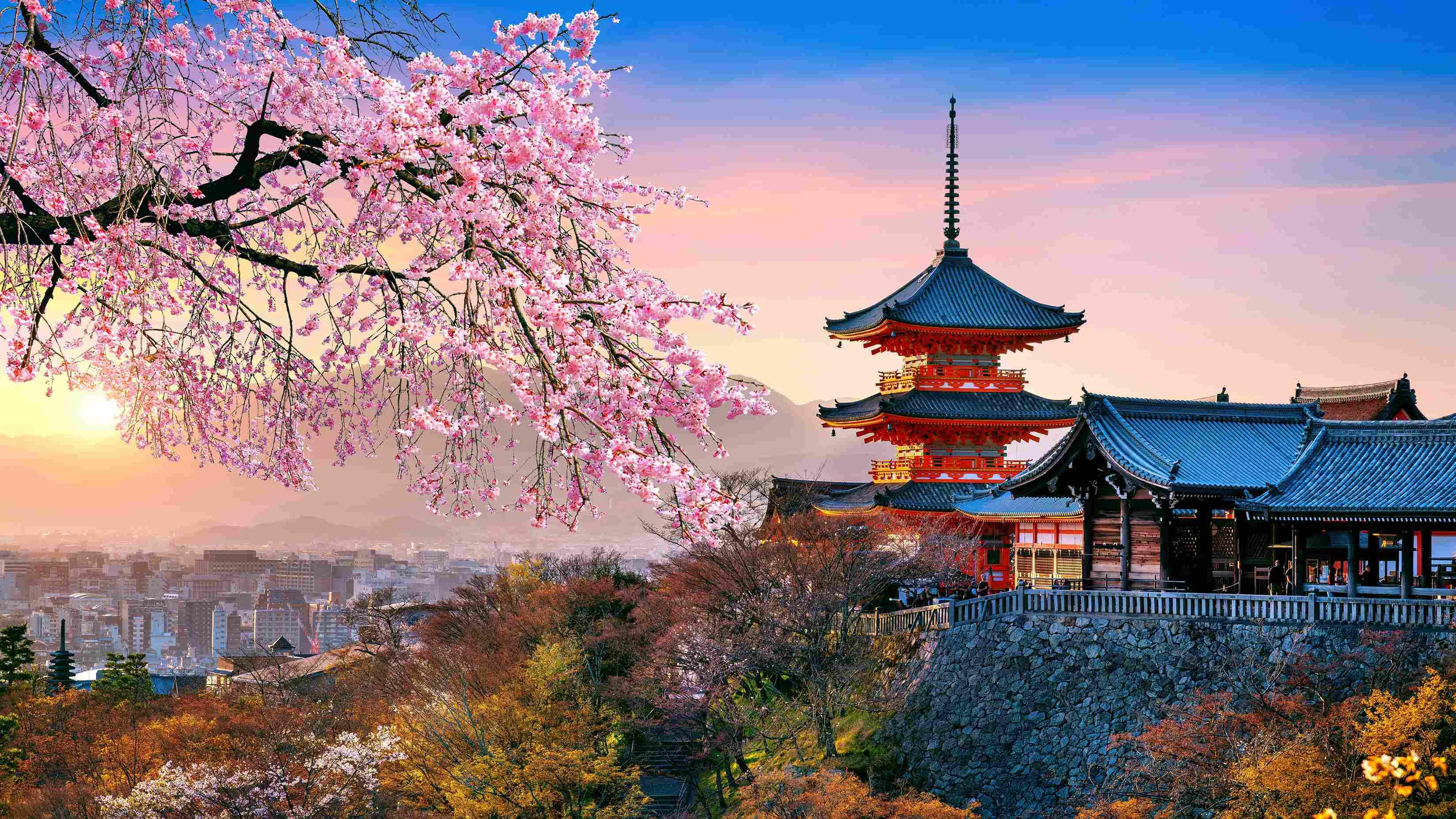 Tokyo, <br />Harmony of Japan's Tradition and Modernity