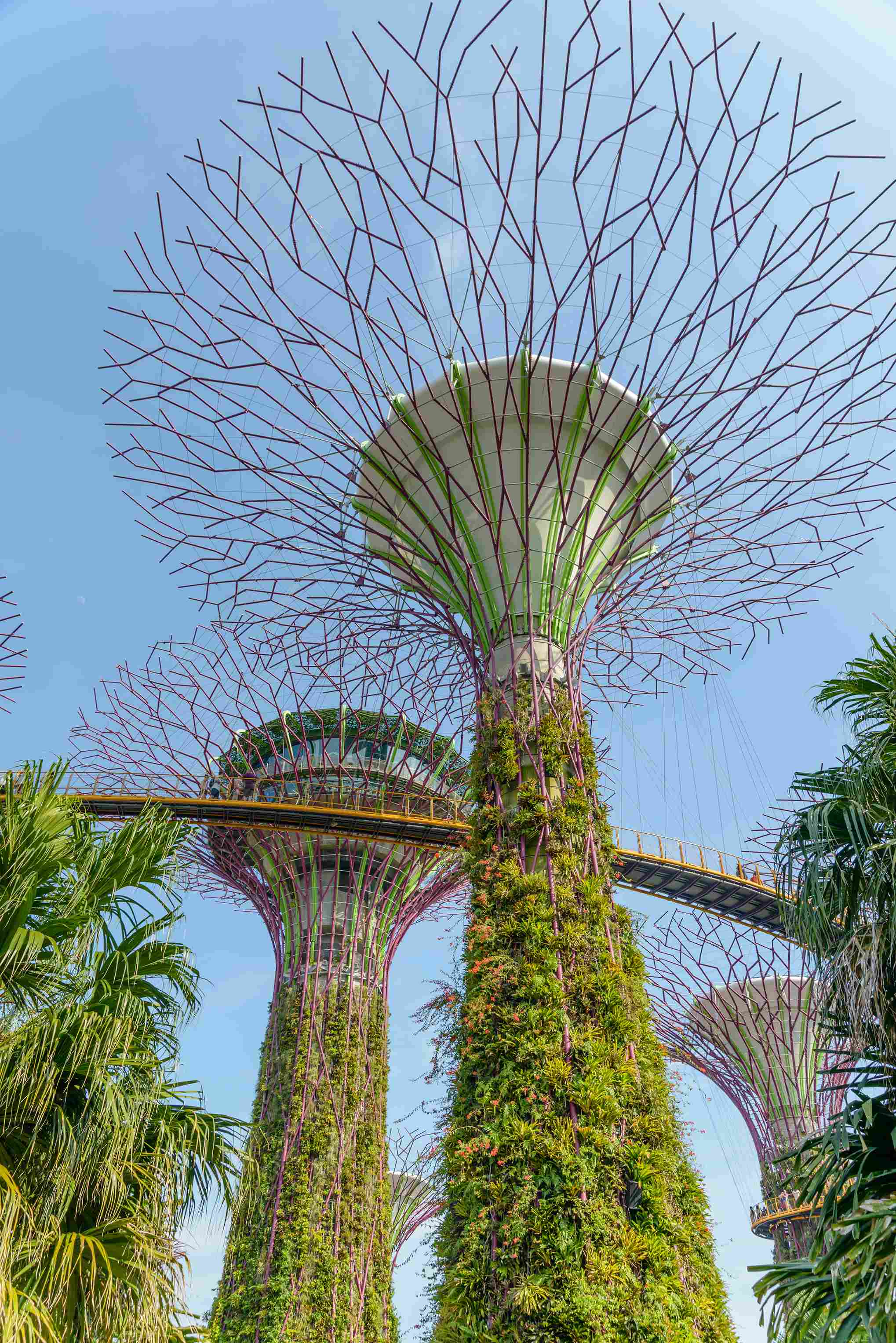 Exploring Gardens by the Bay