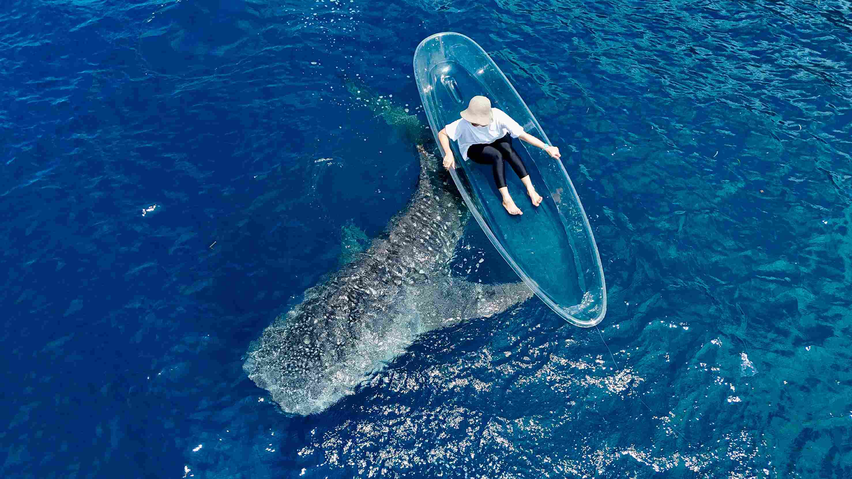 Discovering the Unique Side of Gorontalo Through Various Experiences