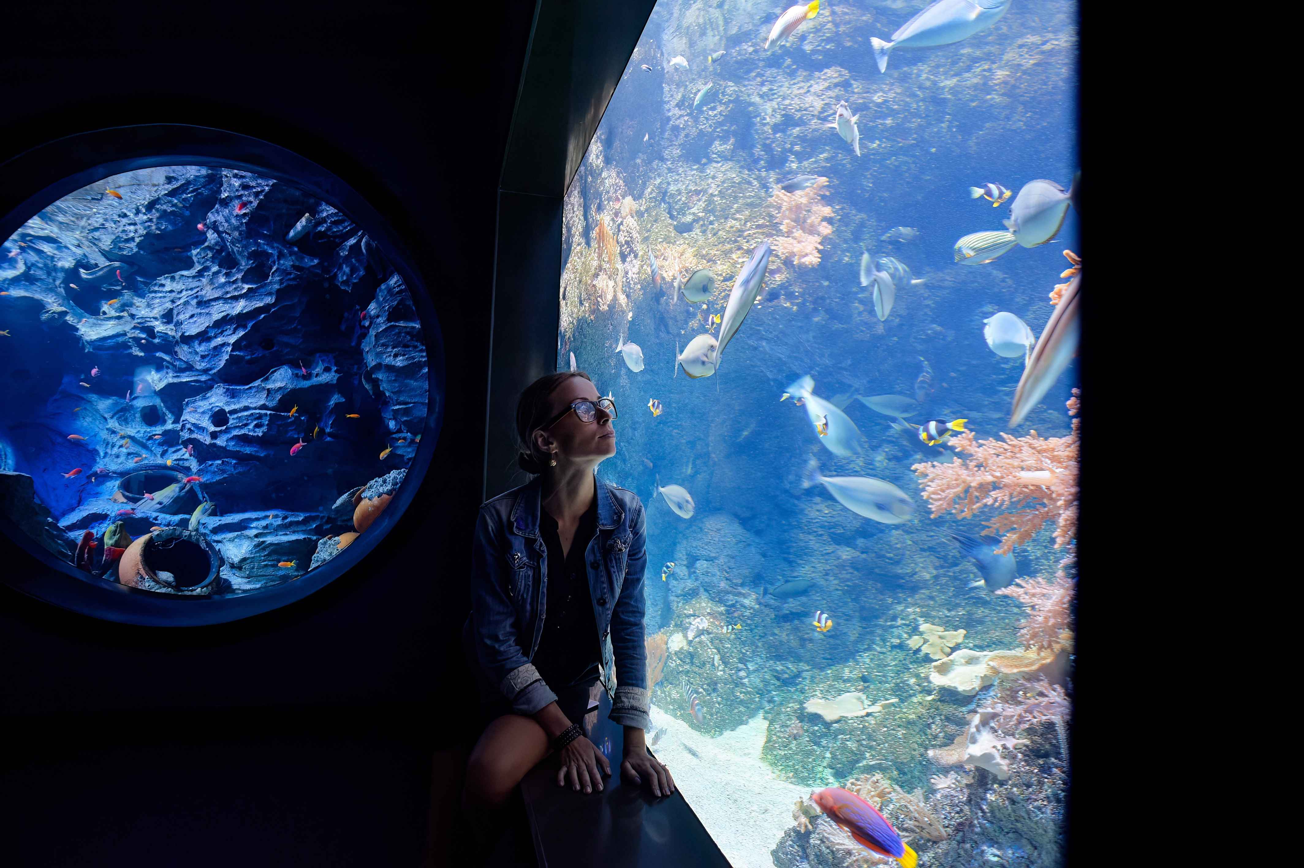 Visiting Oceanarium Singapore