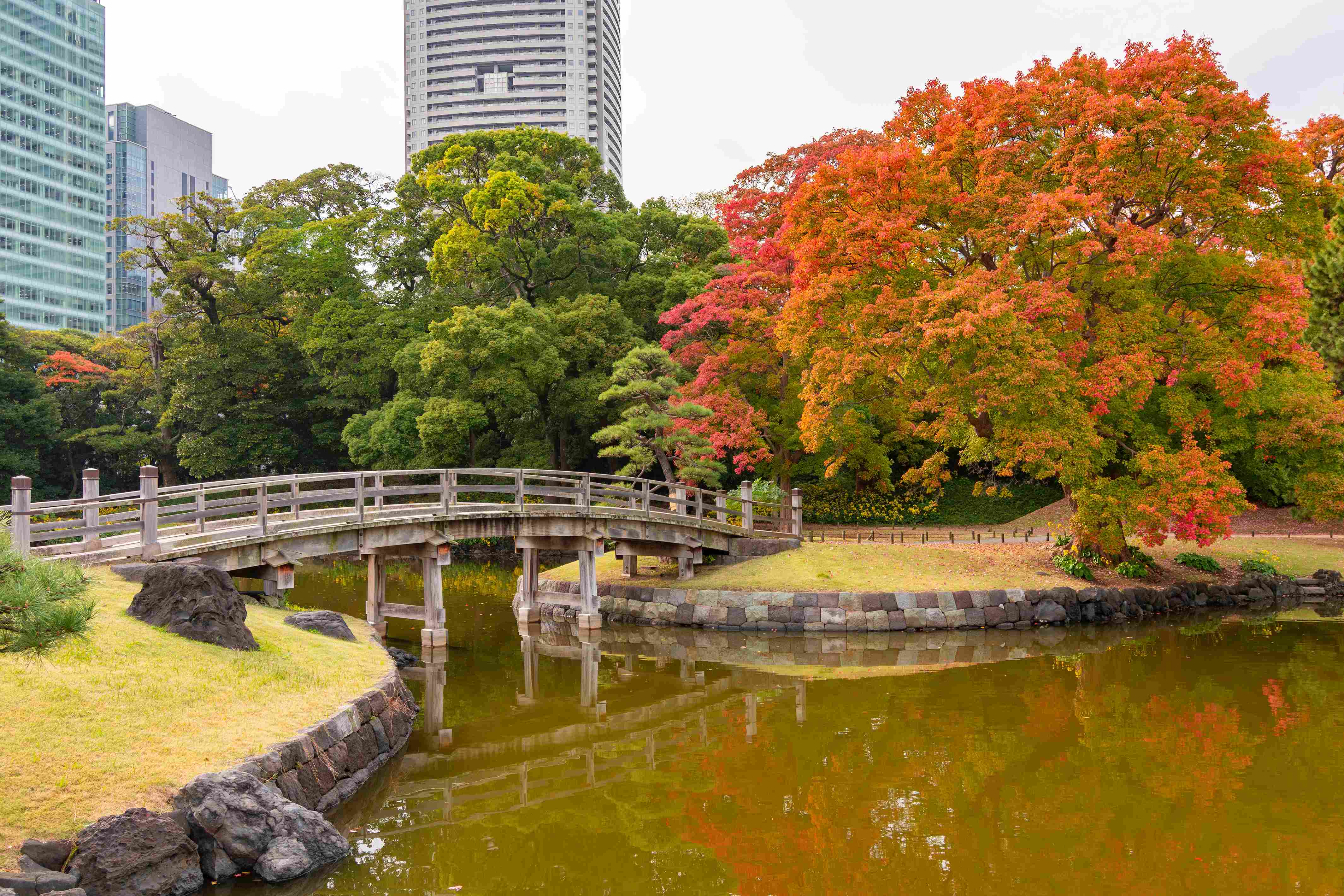 Hamarikyu Gardens