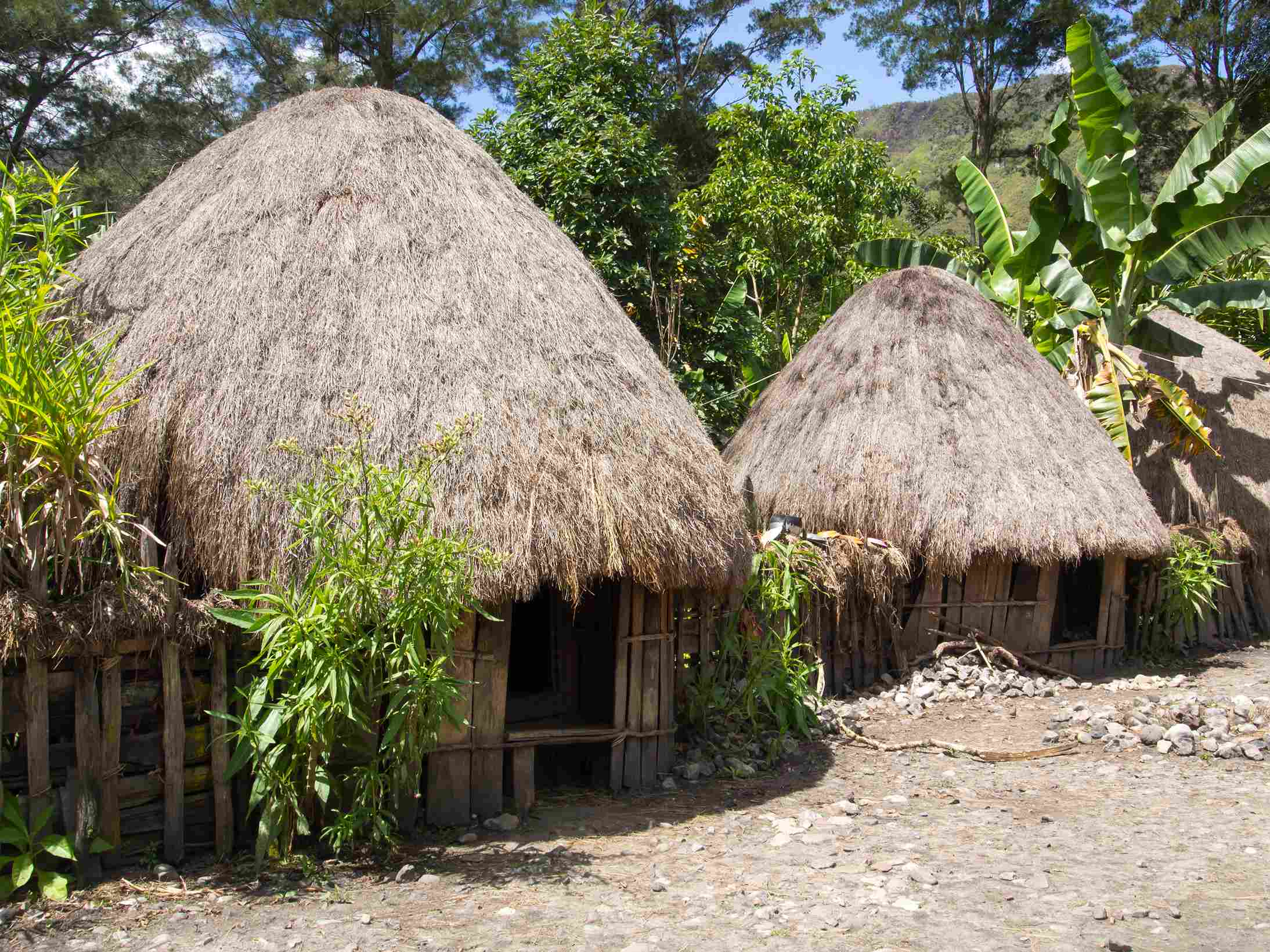 Wamena Area