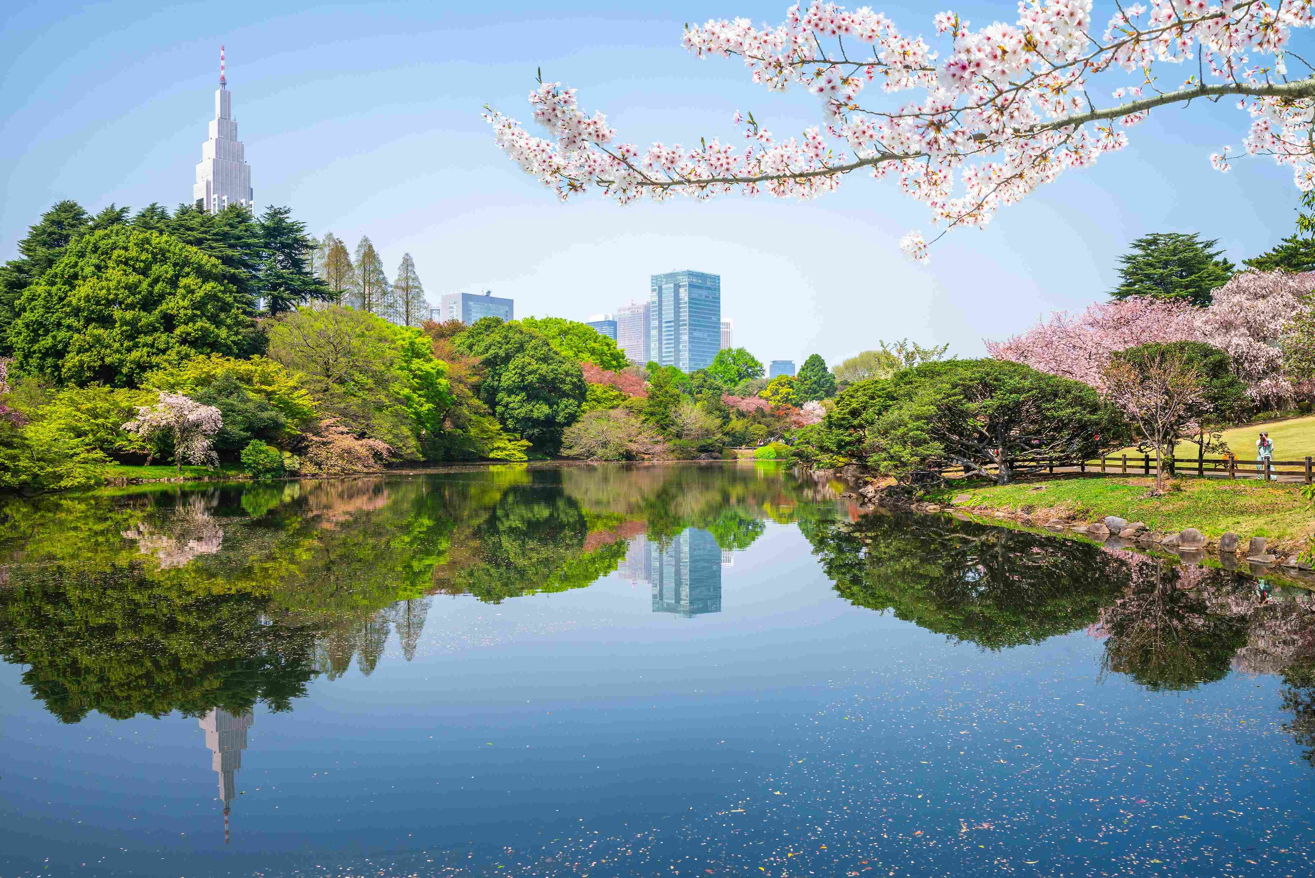 Shinjuku