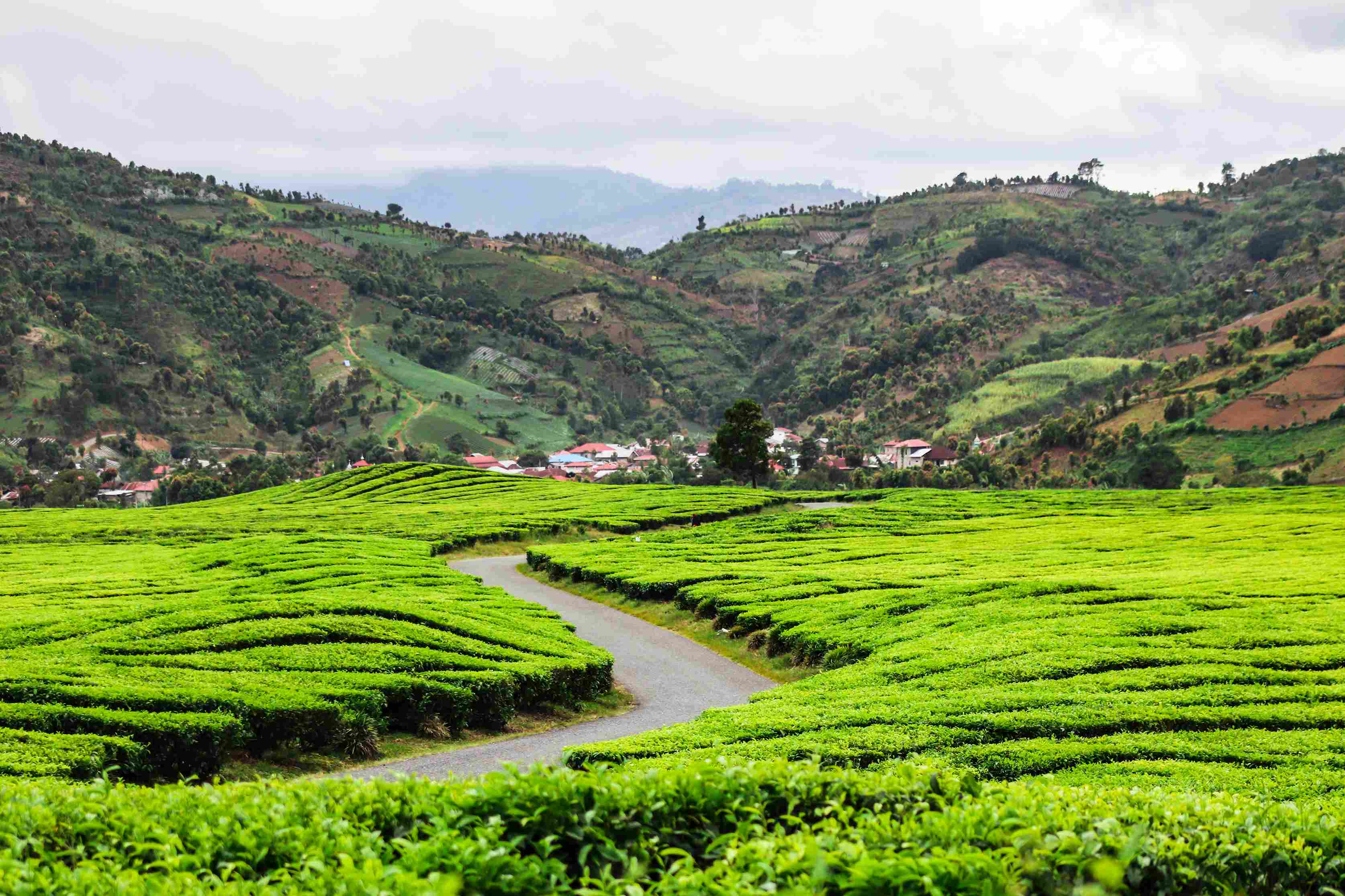 Popular Areas to Stay in Jambi