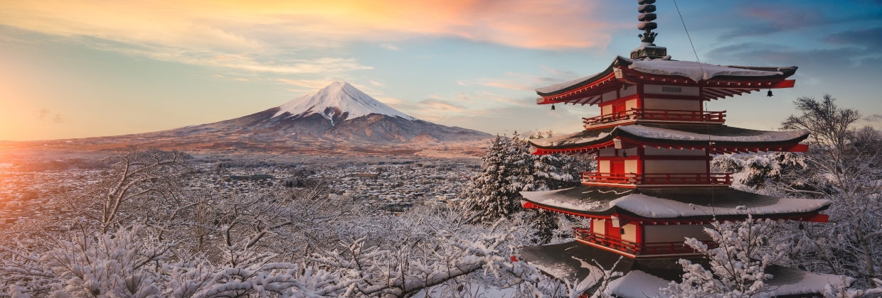 Interested in Tokyo?