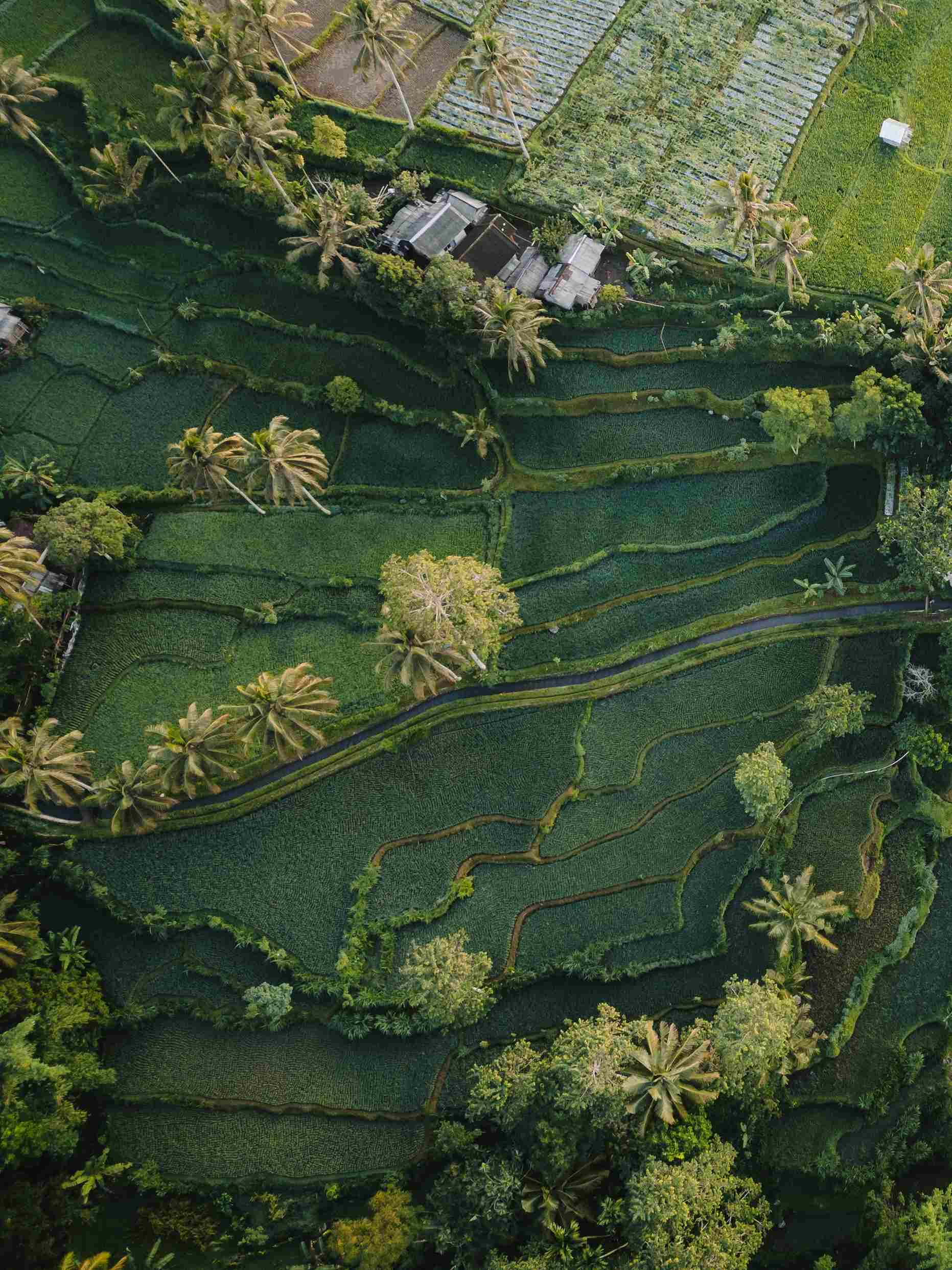 Kawasan Tetebatu