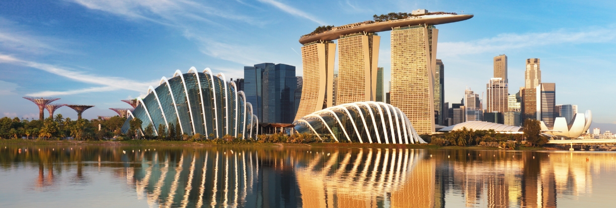 Interested in Singapore?