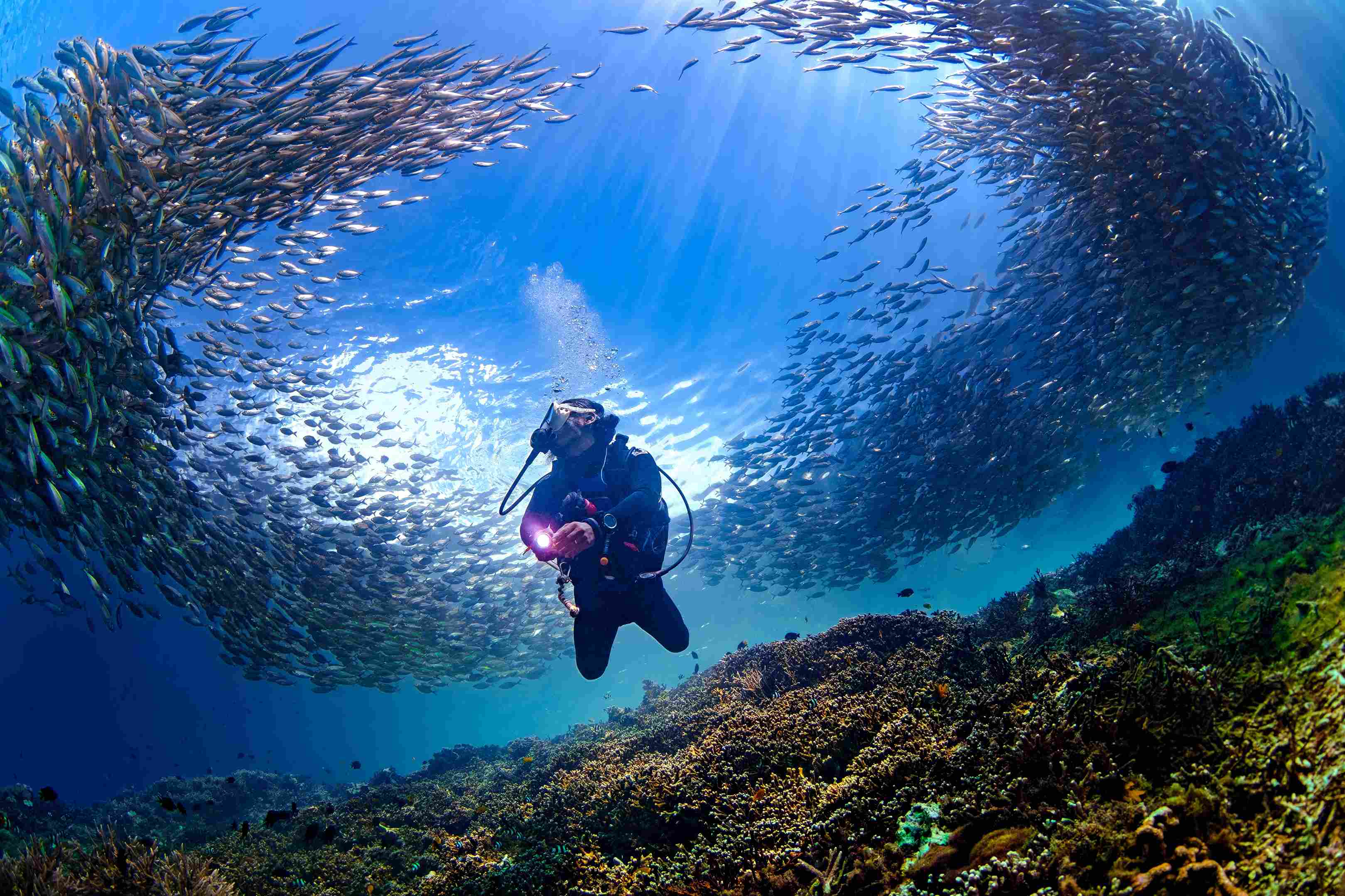 Experience the Unique Side of Ternate Through Memorable Activities
