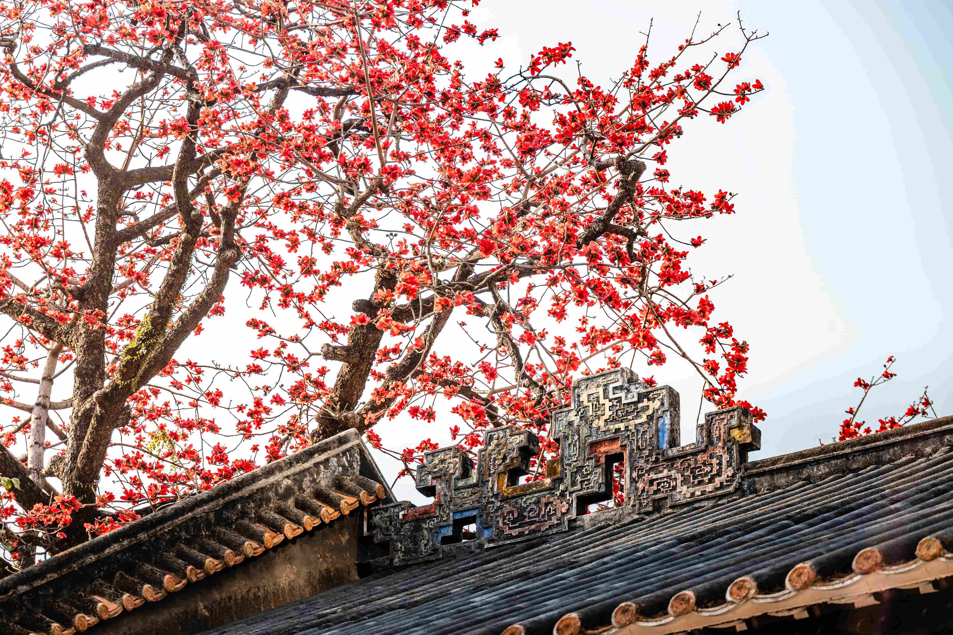 Yuexiu District