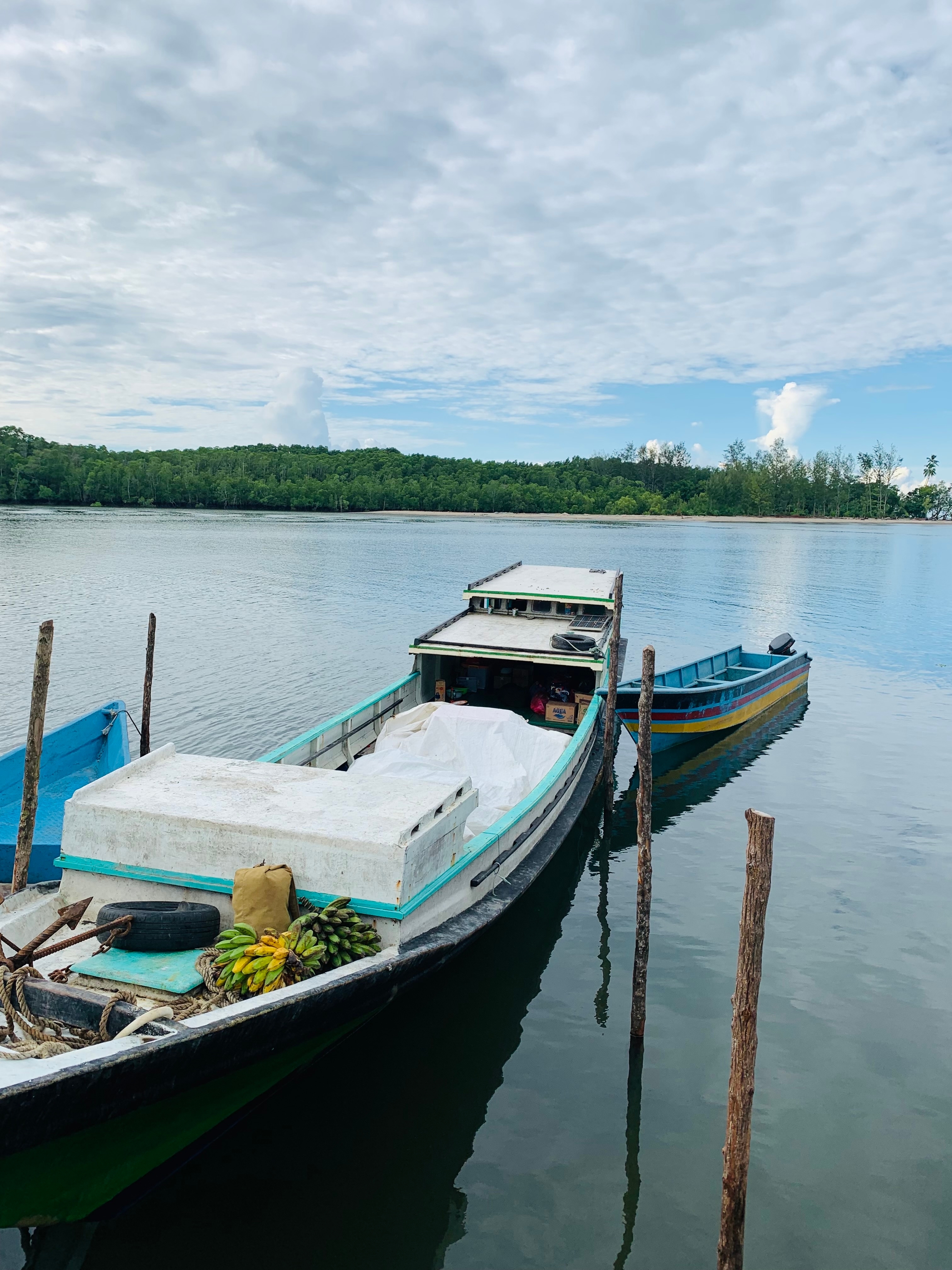 Discover the Cultural Charm of Timika
