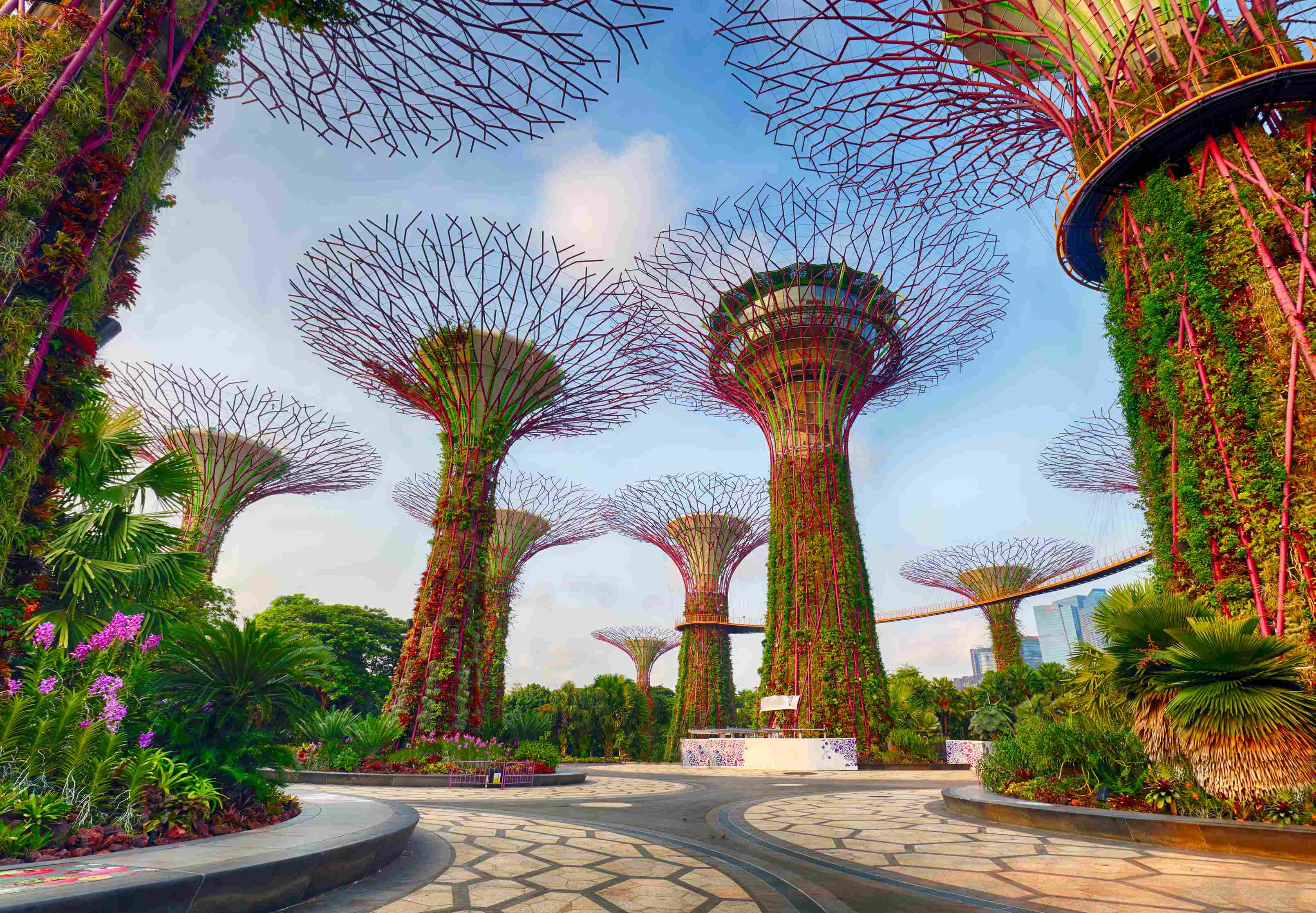 Recommended Activities You Must Try in Singapore