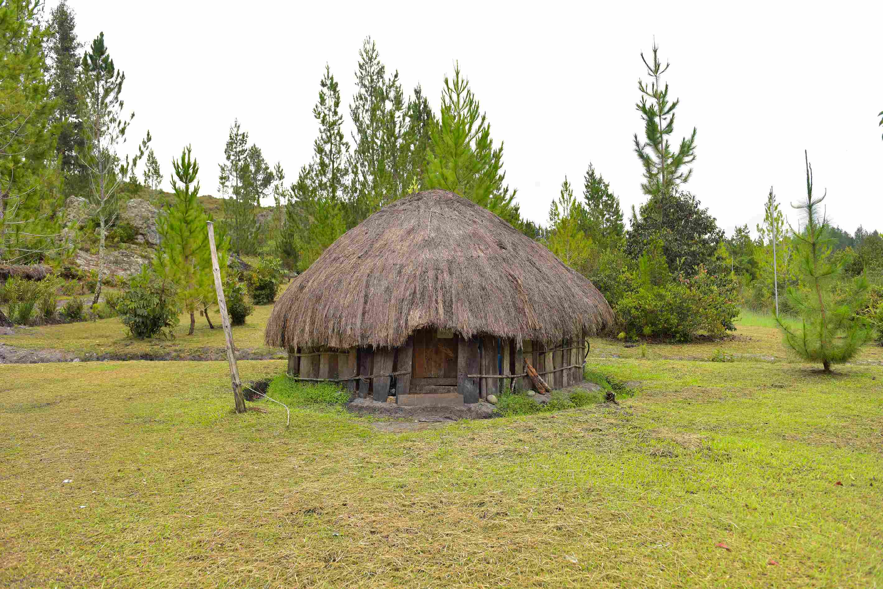 Discover the Cultural Charm of Timika
